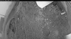 Web Cam Image - Fri, 06/26/2026 3:24am PDT