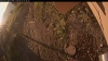 Web Cam Image - Tue, 09/16/2025 6:19am PDT