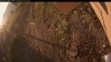 Web Cam Image - Tue, 09/16/2025 6:14am PDT
