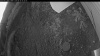 Web Cam Image - Tue, 09/16/2025 5:04am PDT
