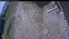 Web Cam Image - Thu, 05/28/2026 10:54am PDT