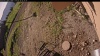 Web Cam Image - Mon, 06/30/2025 1:59am PDT