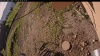 Web Cam Image - Mon, 06/30/2025 1:54am PDT