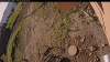 Web Cam Image - Mon, 06/30/2025 1:49am PDT
