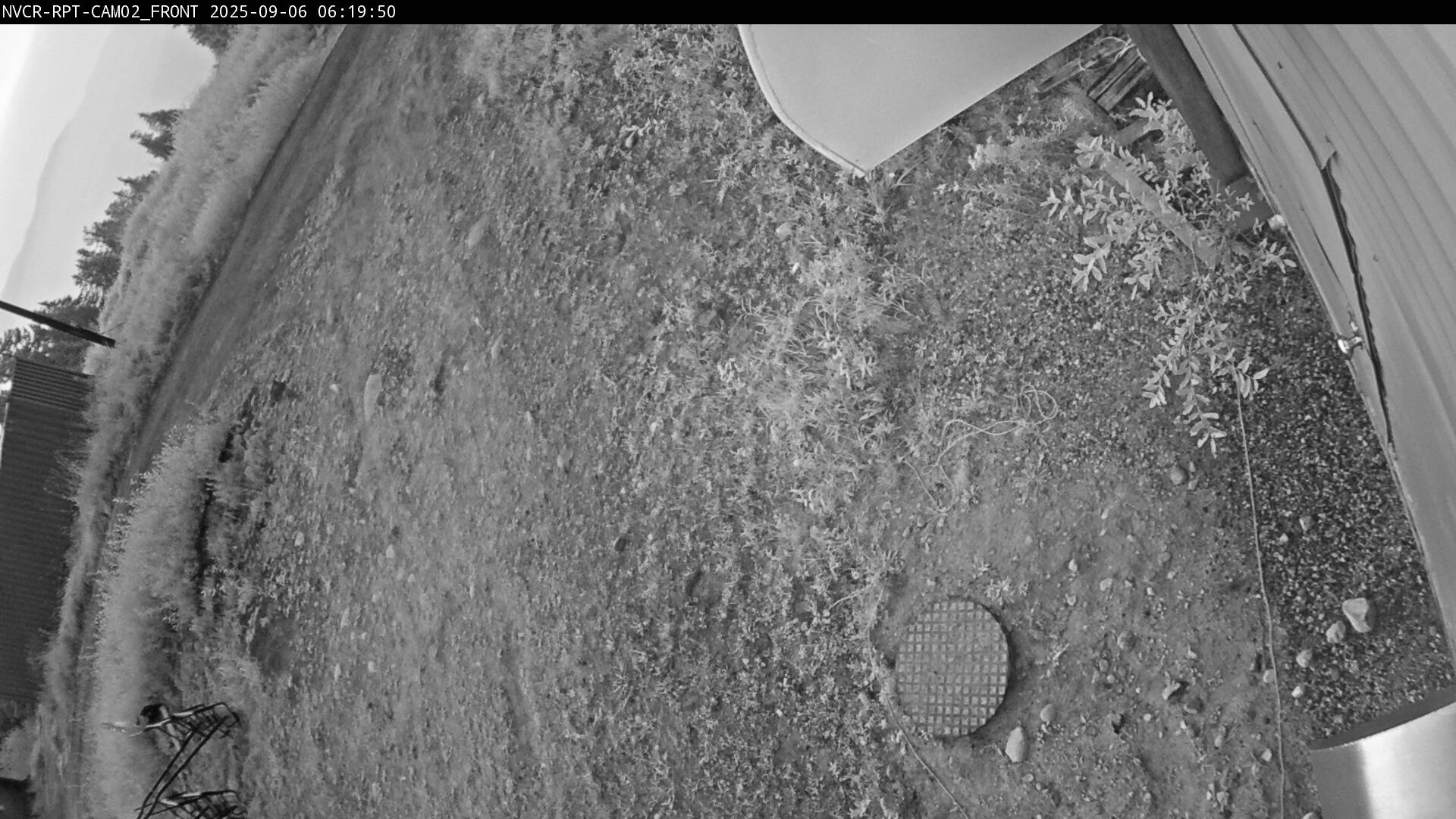 Web Cam History Image - 479