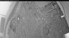Web Cam Image - Fri, 05/15/2026 4:49am PDT