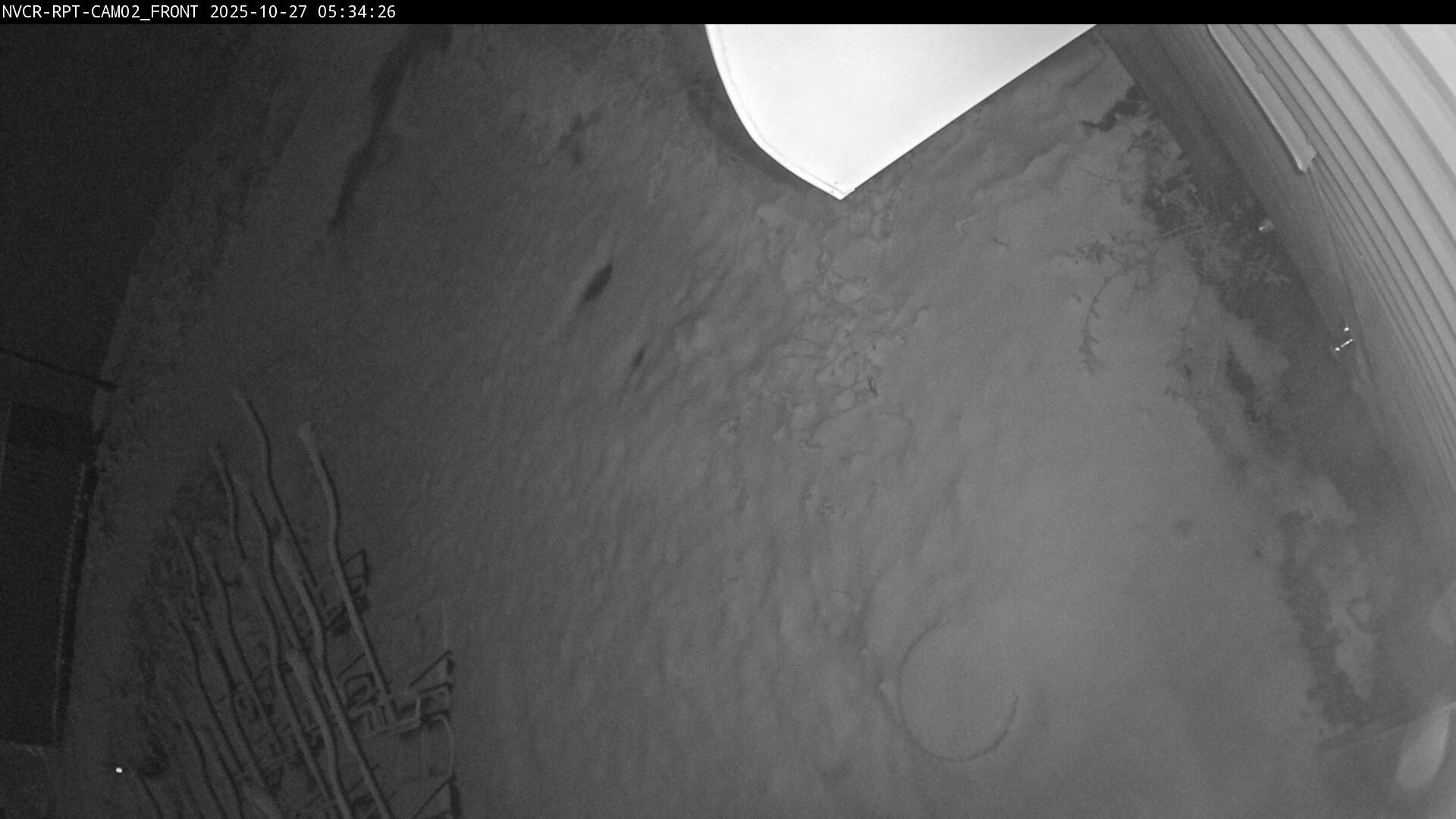 Web Cam History Image - 49