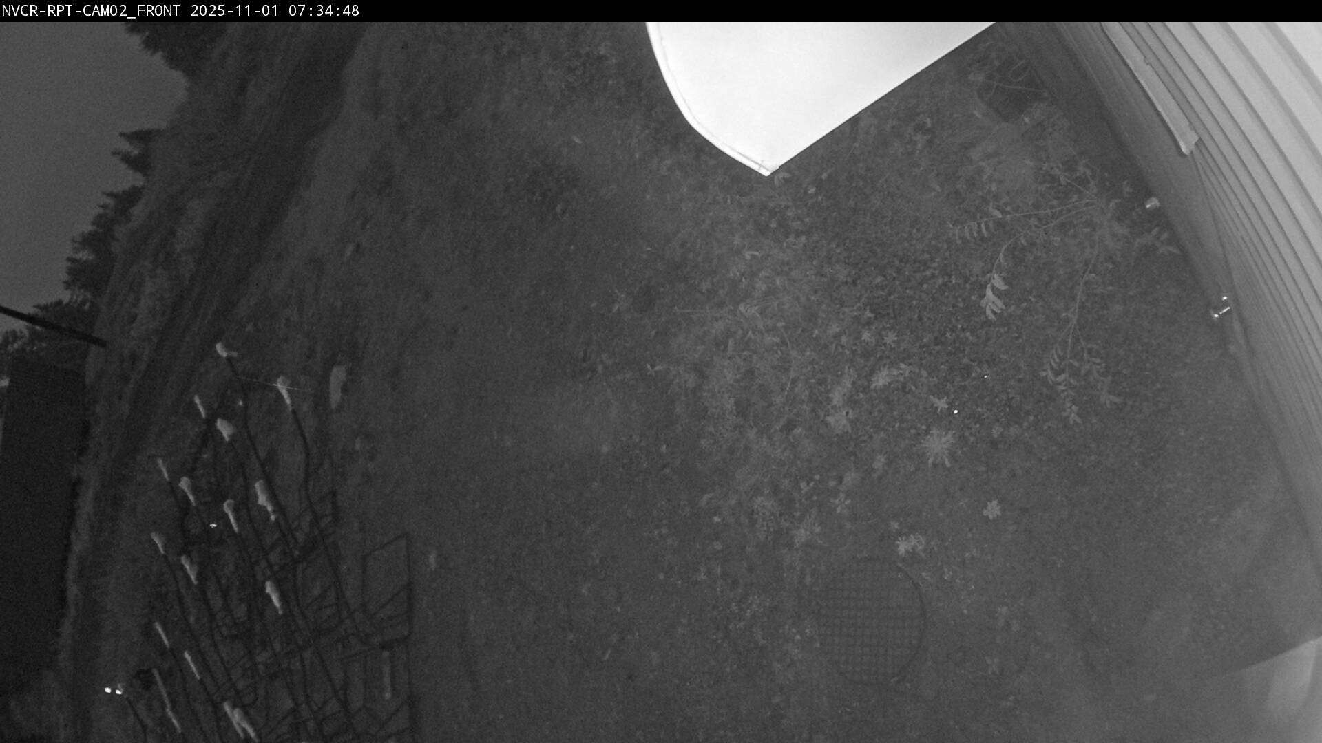 Web Cam History Image - 481