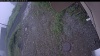 Web Cam Image - Fri, 07/03/2026 6:54am PDT