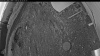 Web Cam Image - Wed, 05/20/2026 4:29am PDT