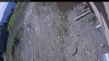 Web Cam Image - Tue, 05/12/2026 8:29am PDT
