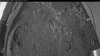 Web Cam Image - Wed, 06/03/2026 3:54am PDT
