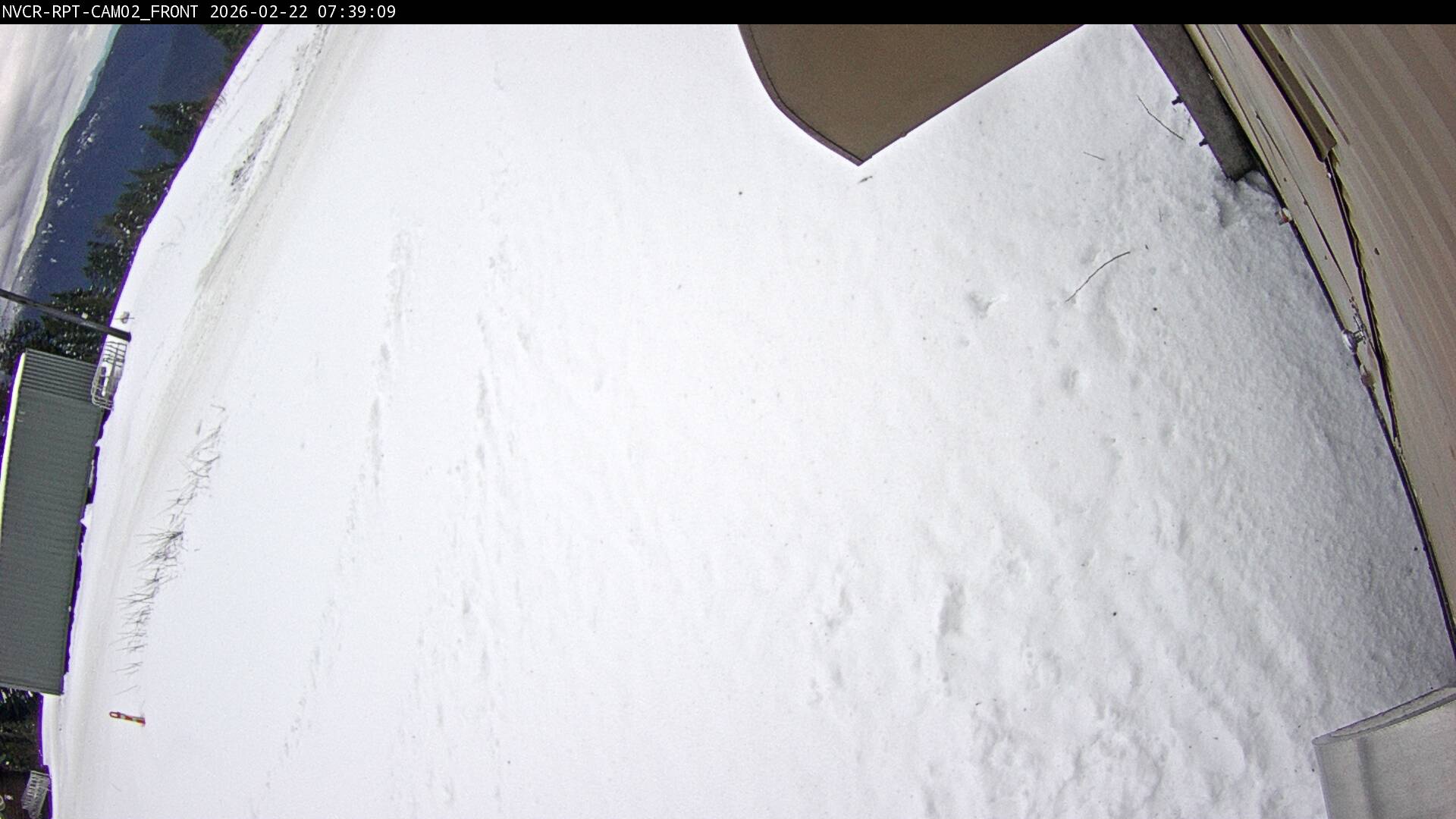 Web Cam History Image - 499