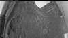 Web Cam Image - Wed, 05/20/2026 3:49am PDT