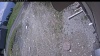Web Cam Image - Wed, 05/20/2026 10:44am PDT