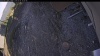Web Cam Image - Mon, 05/04/2026 6:09pm PDT