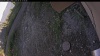 Web Cam Image - Tue, 09/16/2025 3:44pm PDT