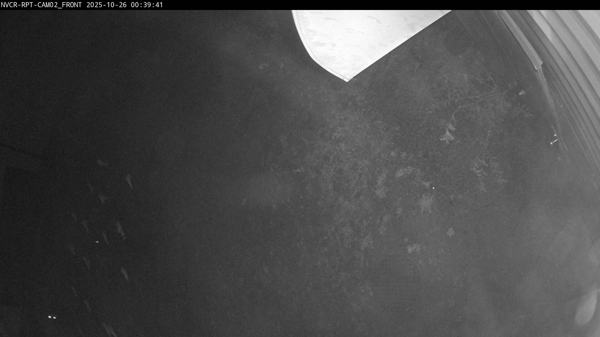 Web Cam History Image - 502