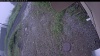 Web Cam Image - Fri, 07/03/2026 5:09am PDT