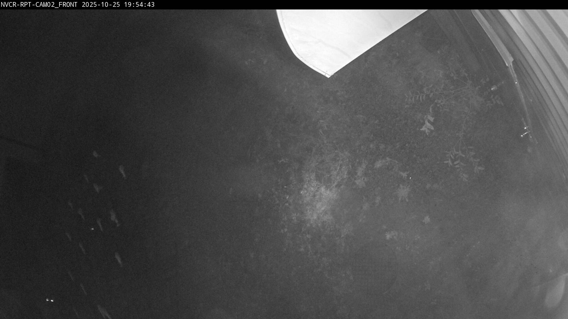 Web Cam History Image - 504