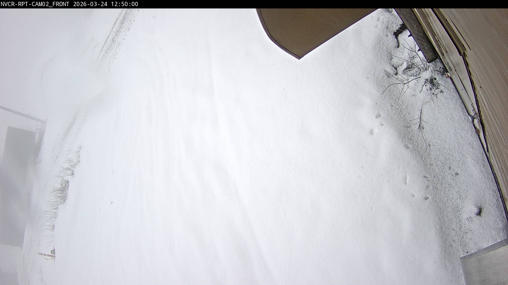 Web Cam History Image - 508