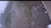 Web Cam Image - Tue, 05/19/2026 9:24am PDT