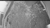 Web Cam Image - Fri, 07/03/2026 4:19am PDT