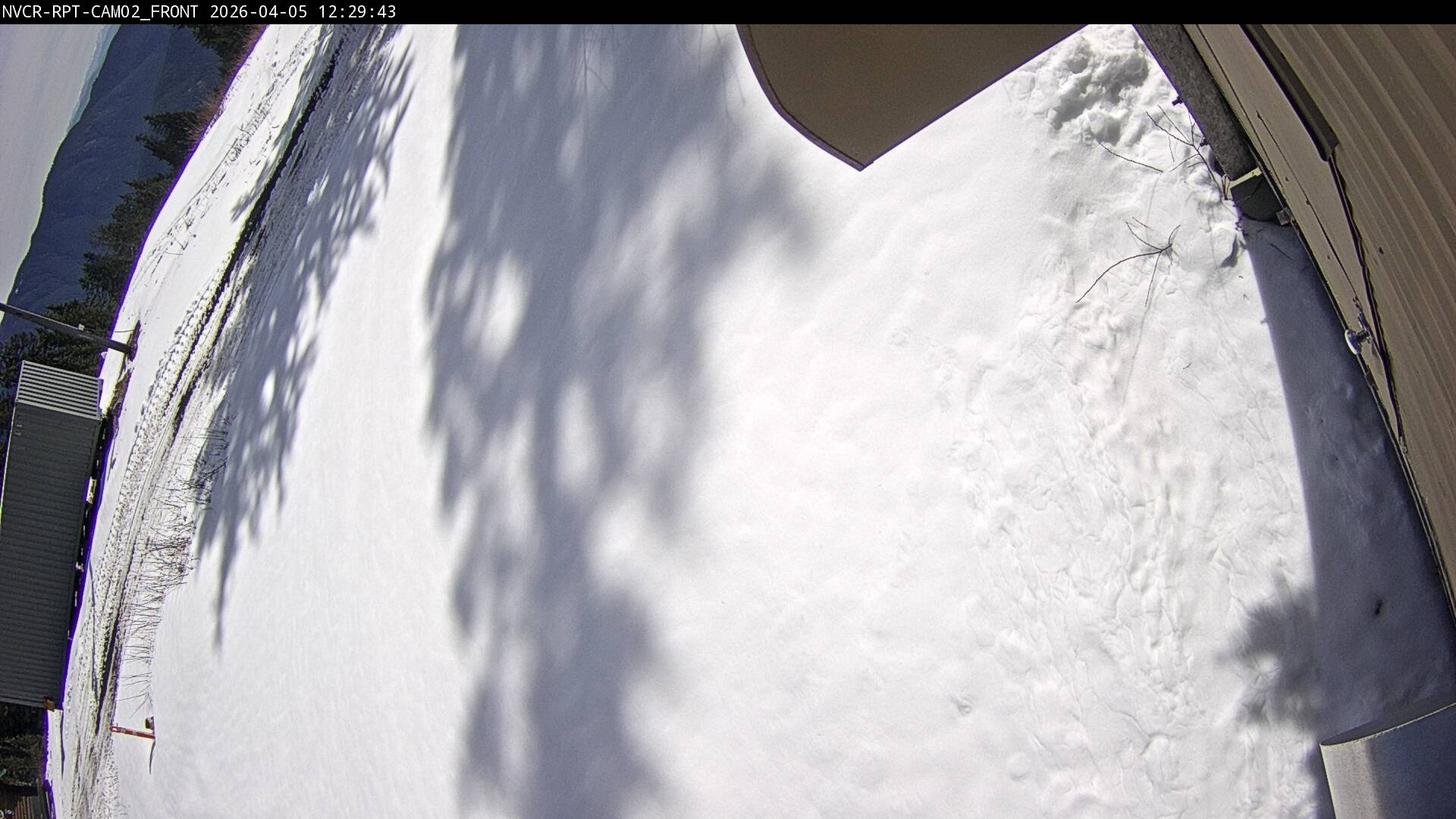 Web Cam History Image - 520