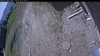 Web Cam Image - Thu, 05/28/2026 10:29am PDT