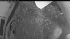 Web Cam Image - Fri, 07/03/2026 3:29am PDT