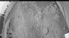 Web Cam Image - Tue, 09/02/2025 11:04pm PDT