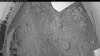 Web Cam Image - Tue, 09/02/2025 10:34pm PDT