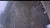 Web Cam Image - Tue, 05/19/2026 9:09am PDT