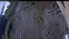Web Cam Image - Wed, 05/27/2026 7:14am PDT