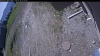 Web Cam Image - Thu, 05/28/2026 10:19am PDT