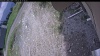Web Cam Image - Sat, 05/30/2026 12:19pm PDT