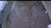 Web Cam Image - Thu, 05/14/2026 4:24pm PDT