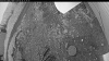 Web Cam Image - Sat, 06/28/2025 5:14pm PDT