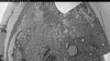 Web Cam Image - Sat, 06/28/2025 5:09pm PDT