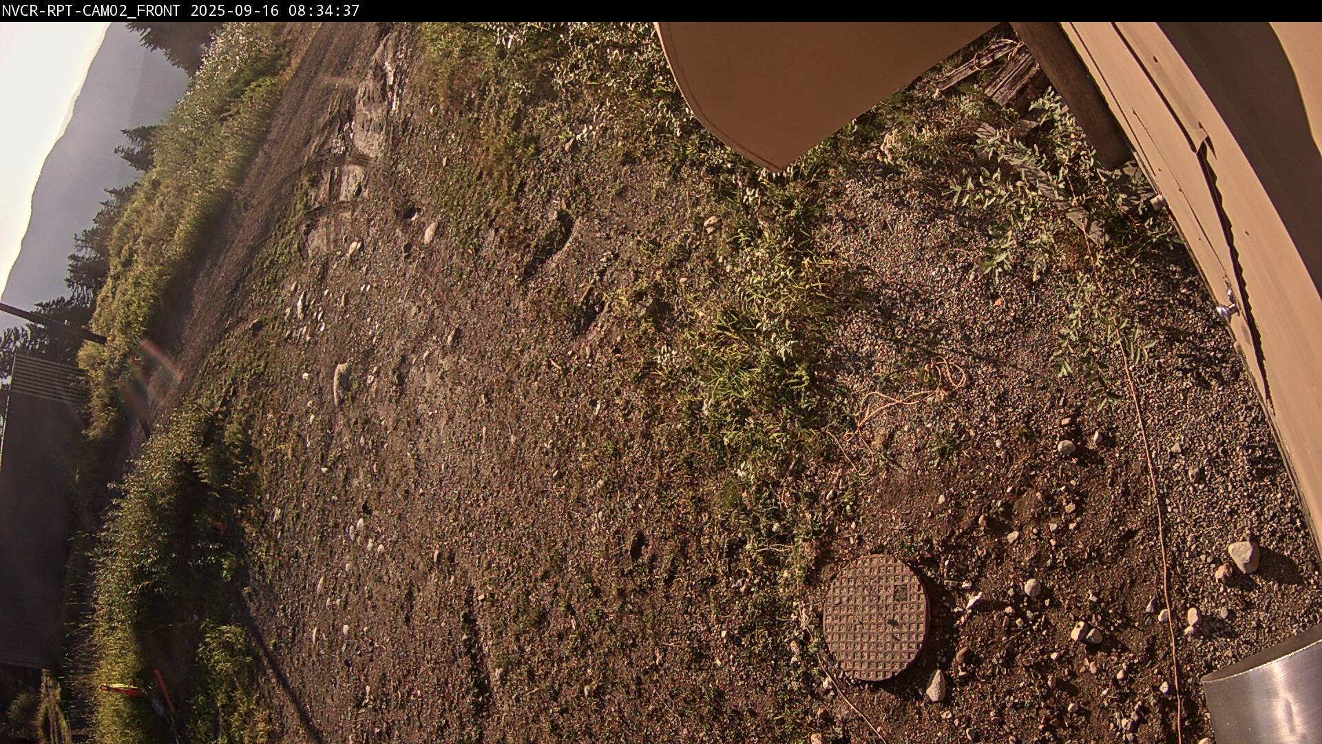 Web Cam History Image - 559