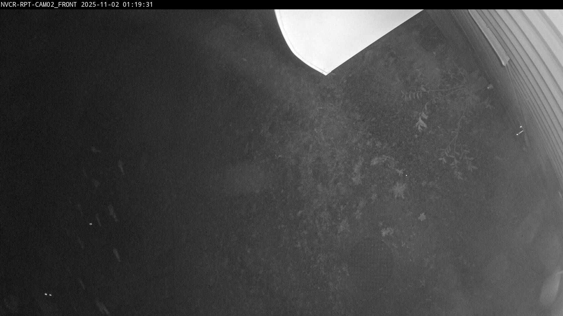 Web Cam History Image - 560