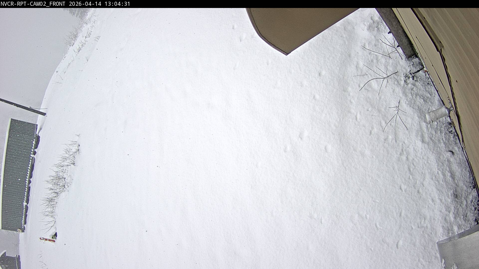 Web Cam History Image - 560