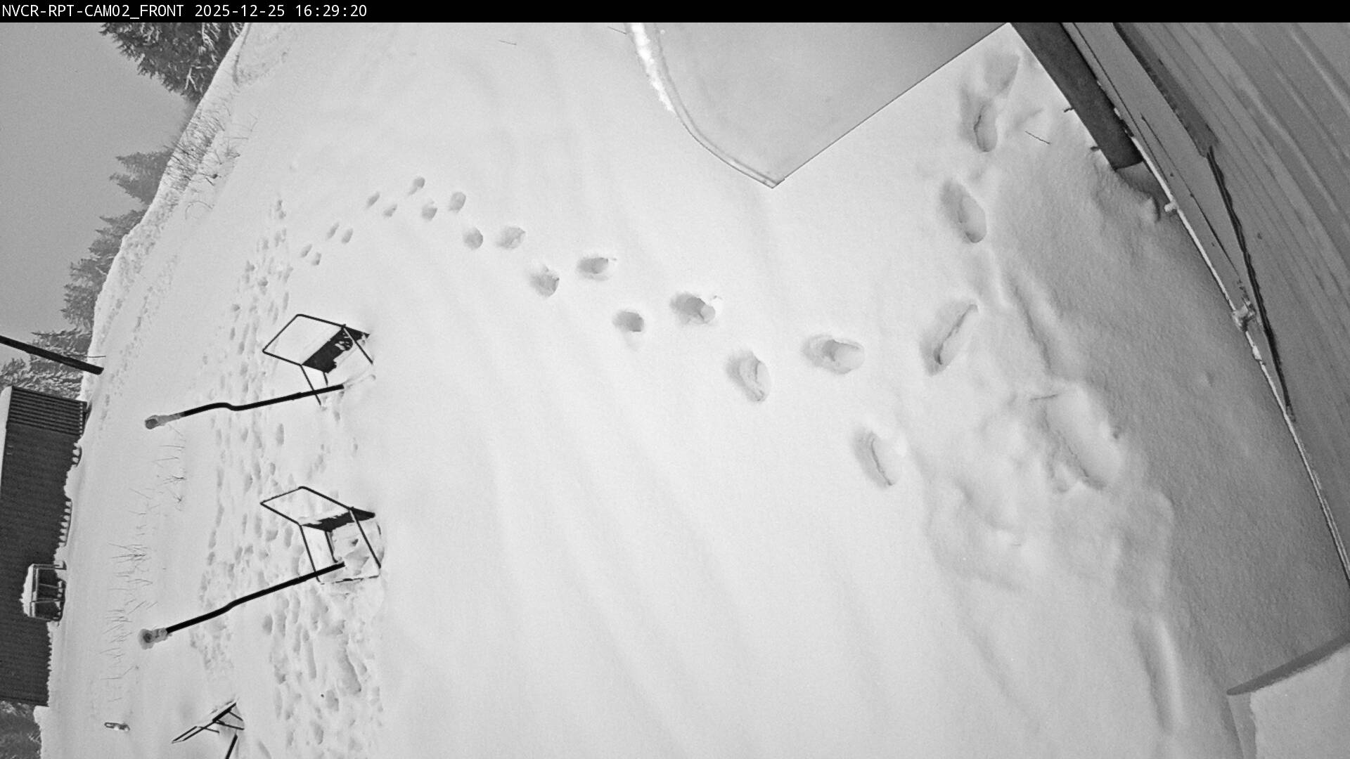 Web Cam History Image - 57