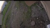Web Cam Image - Sat, 06/28/2025 4:19pm PDT