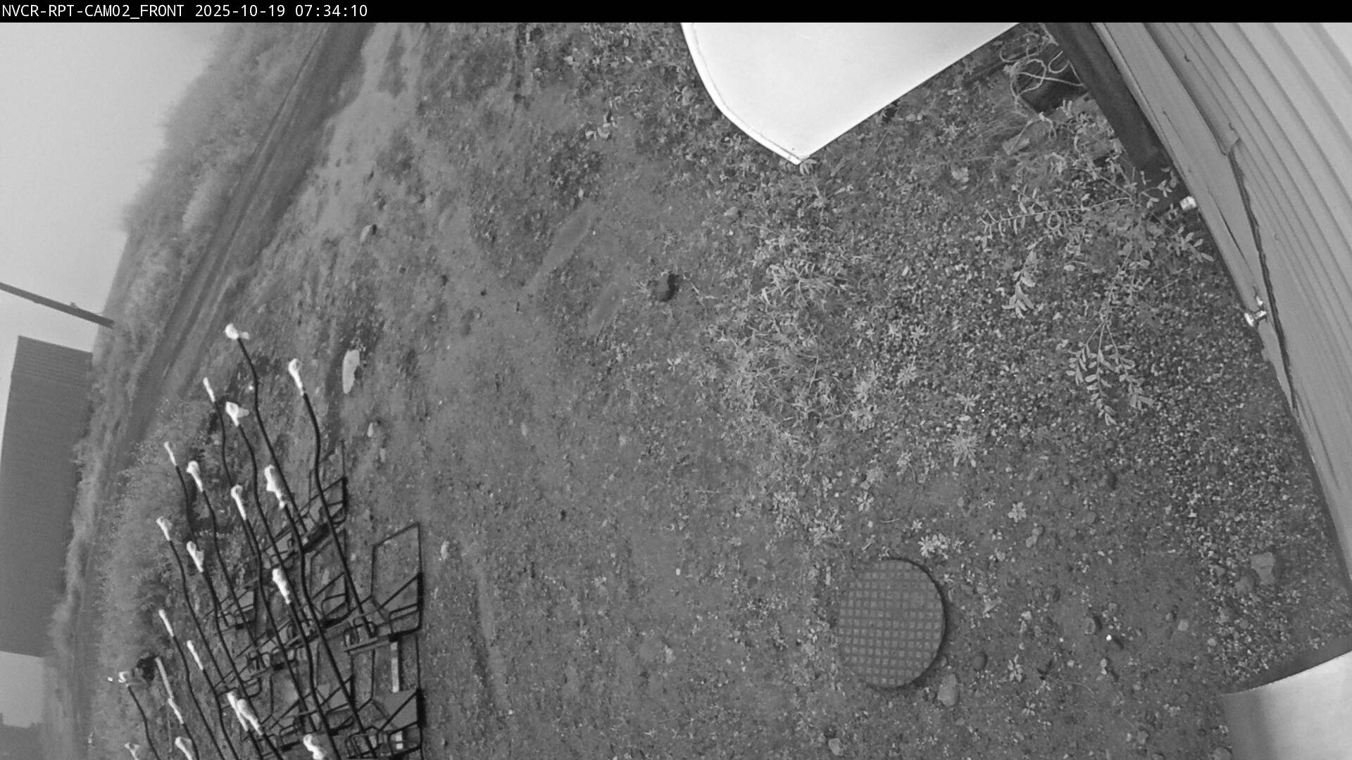 Web Cam History Image - 568