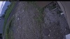 Web Cam Image - Fri, 06/05/2026 4:14pm PDT