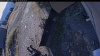 Web Cam Image - Mon, 10/19/2026 9:14am PDT