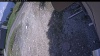Web Cam Image - Wed, 05/20/2026 12:54pm PDT
