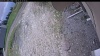 Web Cam Image - Sat, 05/23/2026 11:49am PDT
