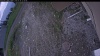 Web Cam Image - Sat, 05/30/2026 11:54am PDT